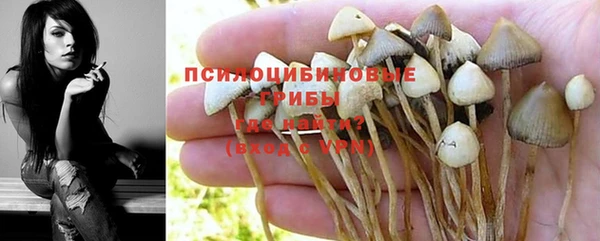 spice Алексин