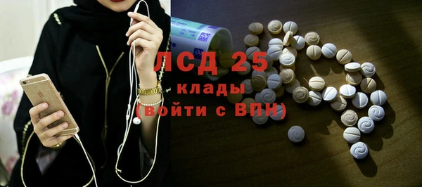 стаф Алзамай