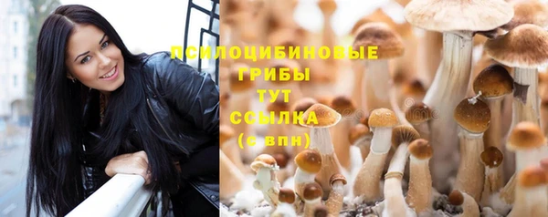 spice Алексин