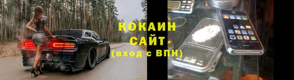 стаф Алзамай