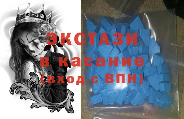 стаф Алзамай