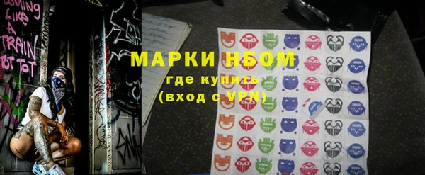 стаф Алзамай