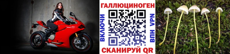 наркошоп  Удомля  Псилоцибиновые грибы Magic Shrooms 